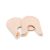 Capezio BH006U Cosy Toe Toe Pad