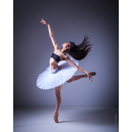 InMotion - FINE ART GICLÉE BALLET FOTOGRAFIE PRINT